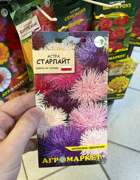 астра Старлайт